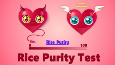 The Rice Purity Test