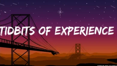 tidbits of experience