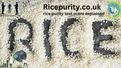 rice purity test score explained